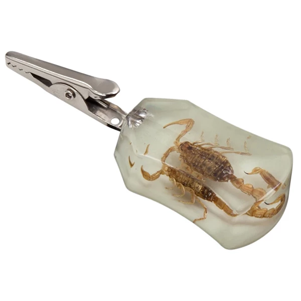 Cannabis Culture Headquarters Smoking Accessories Glow-in-the-Dark Scorpion Clip 1 Cannabis Culture Headquarters Smoking Accessories Glow-in-the-Dark Scorpion Clip