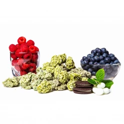 Mint Cookie Tasty Buds Fun & Games 7 Mint Cookie Tasty Buds Fun & Games